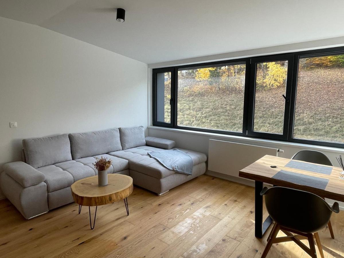 Ski&Bike Horsky Apartman 502 Janské Lázně Esterno foto